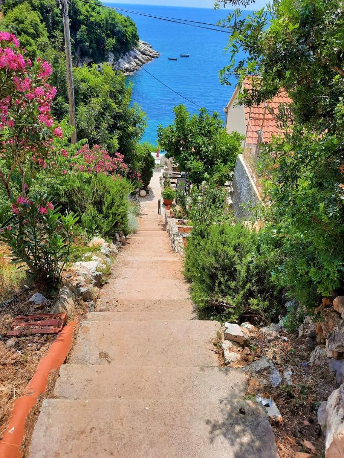 Belleview Apartments Vrbica Dubrovnik Eksteriør billede