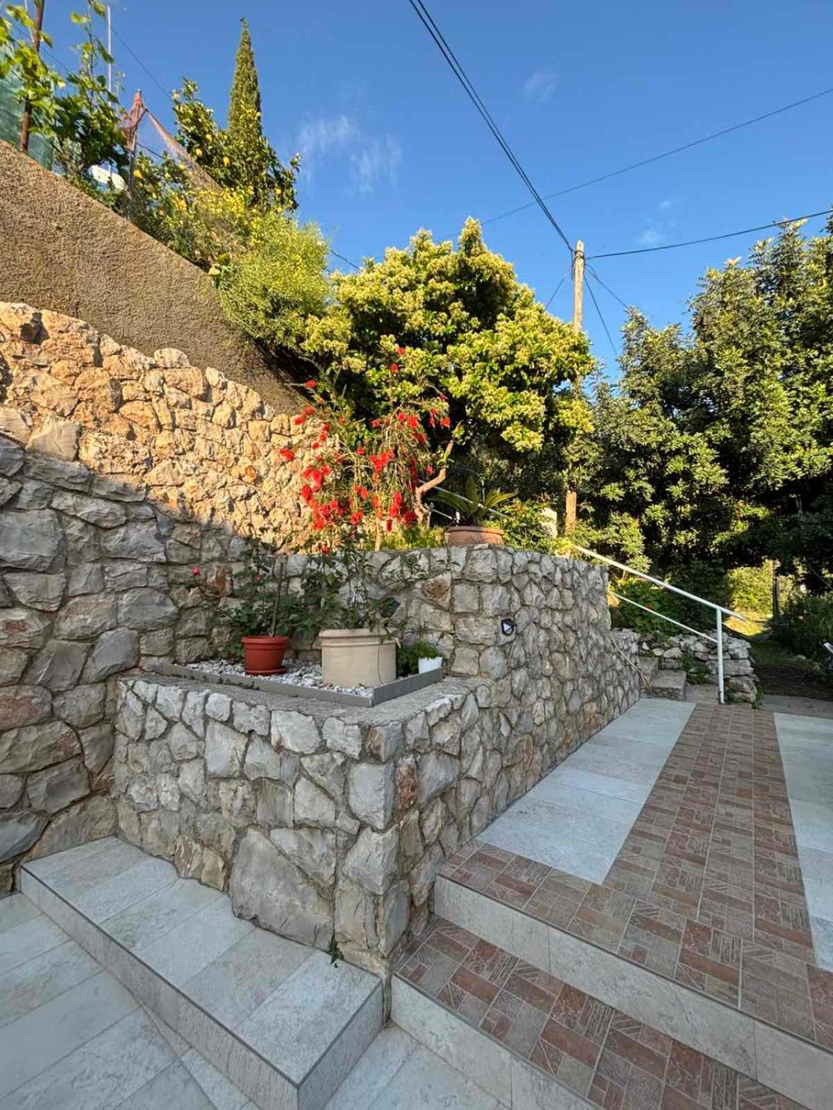 Belleview Apartments Vrbica Dubrovnik Eksteriør billede